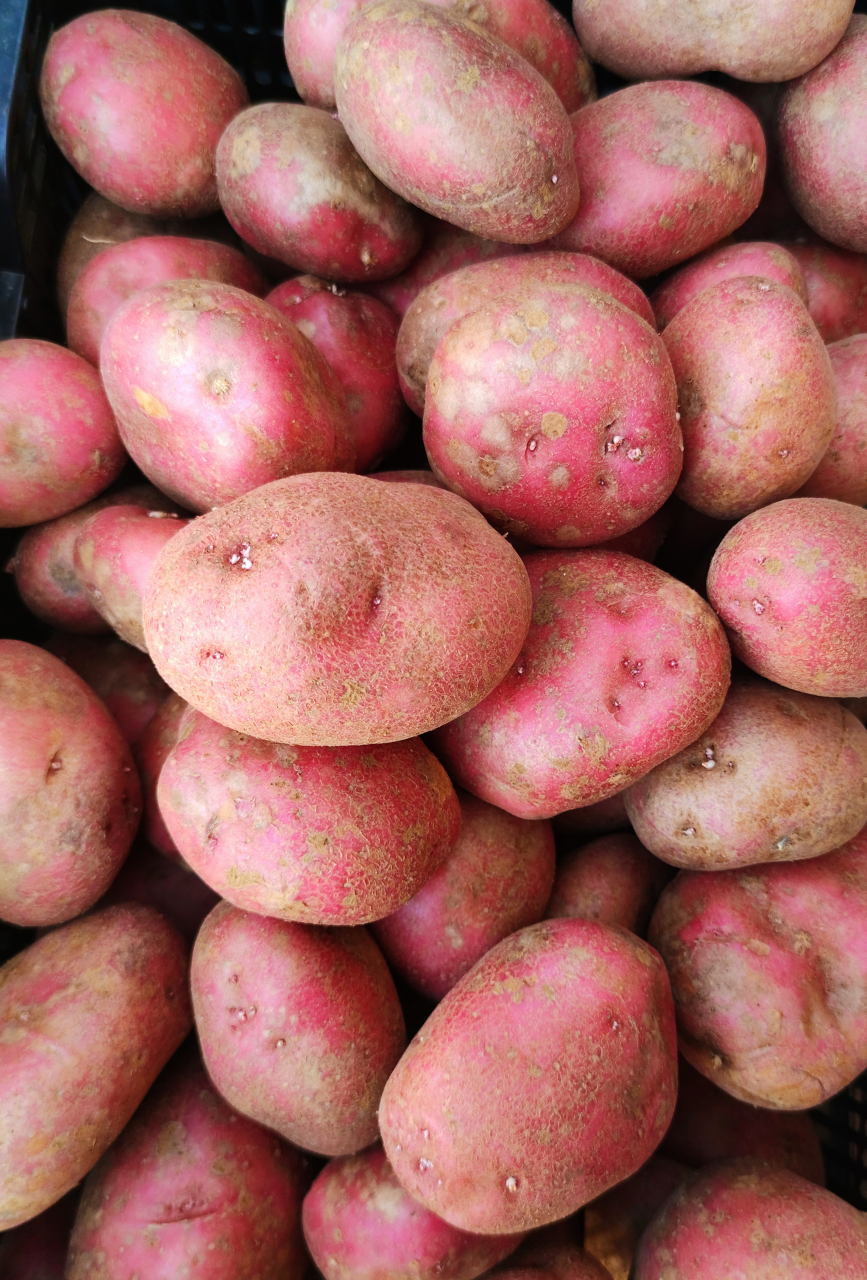 Image of red potatoes in a pile.