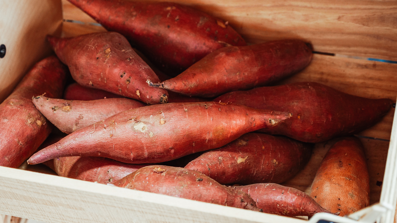 Image of sweet potatoes in a wooden box for storage.