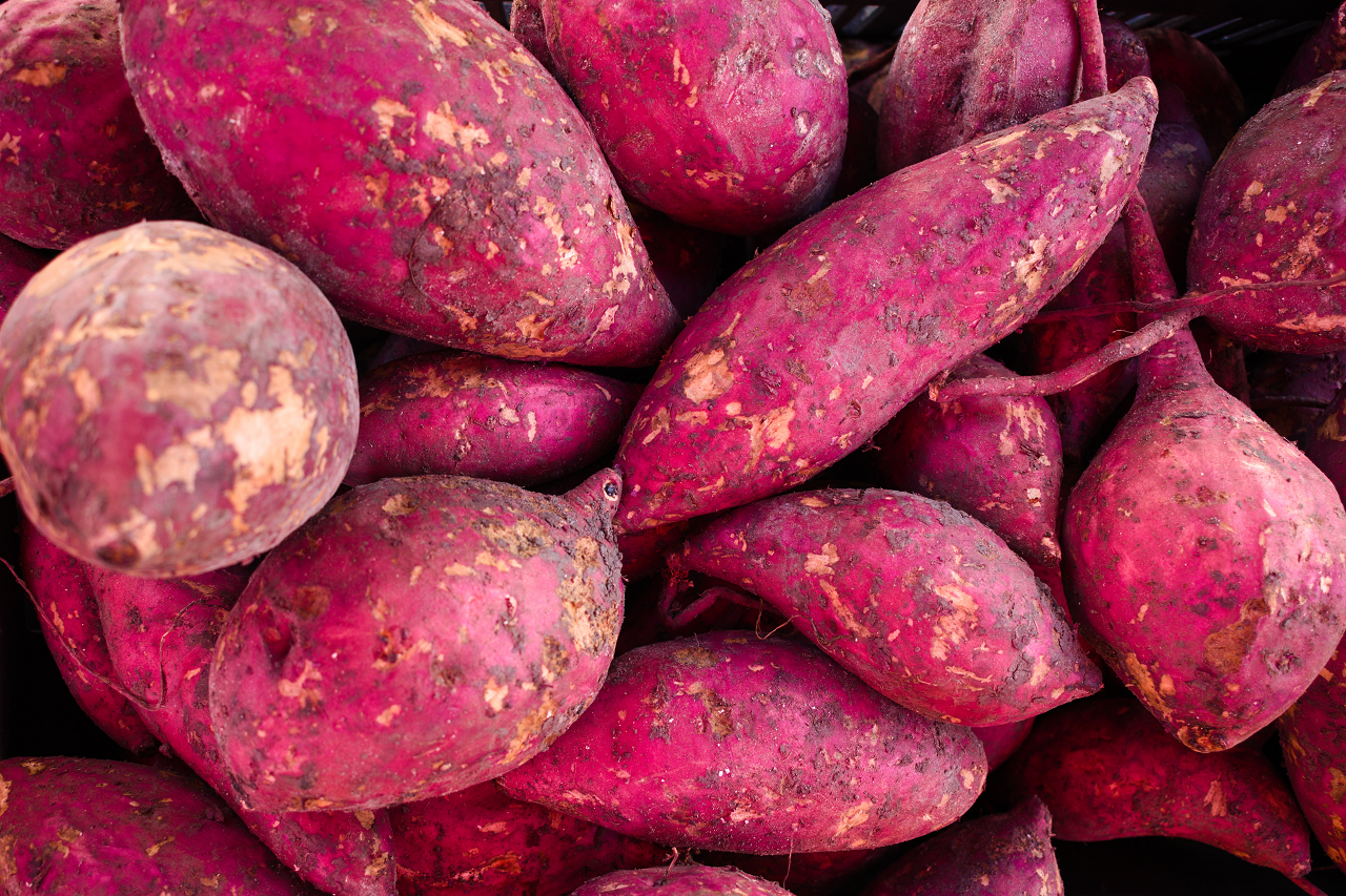 Image of purple sweet potatoes in a pile.