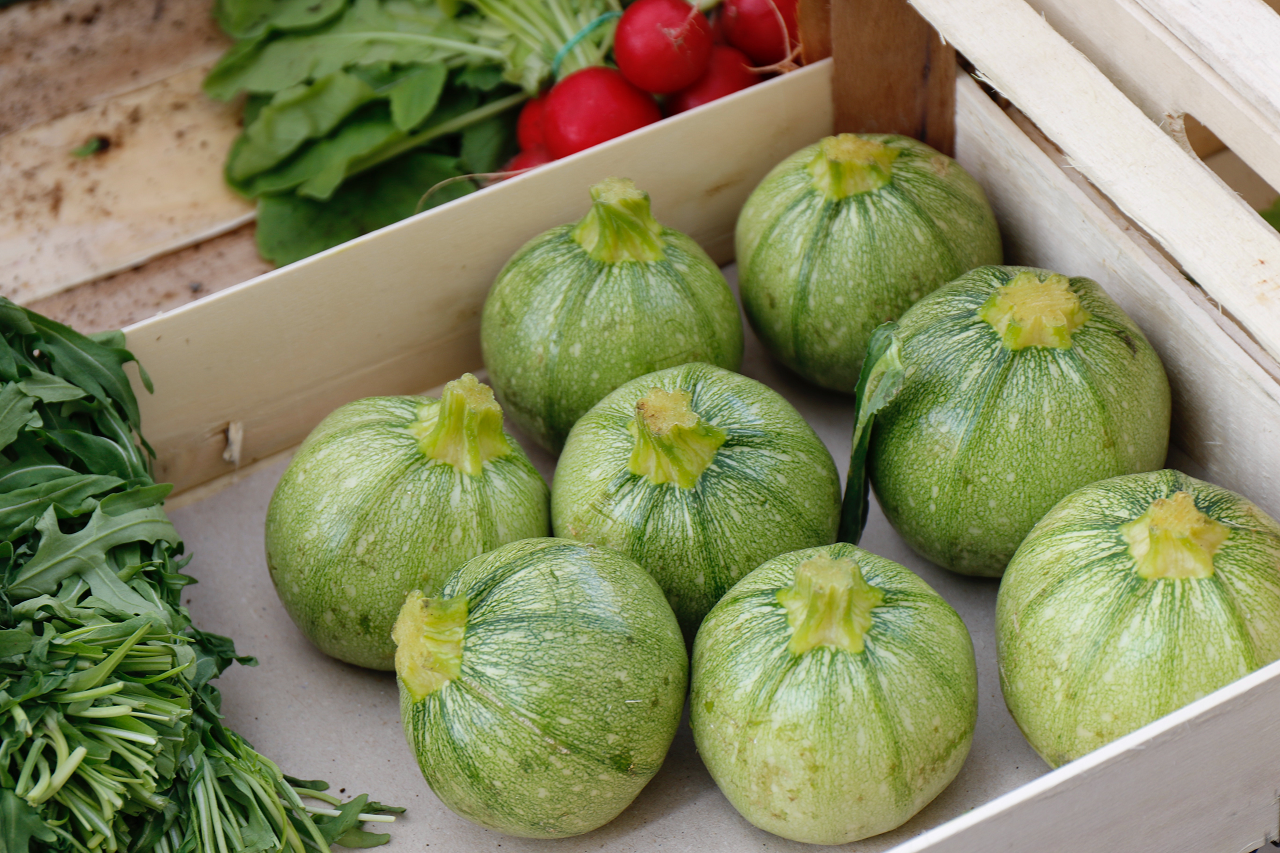 Image of round zucchini vegetables.