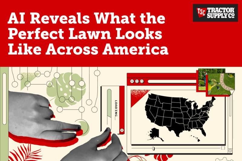 AI reveals what the perfect lawn looks like across America