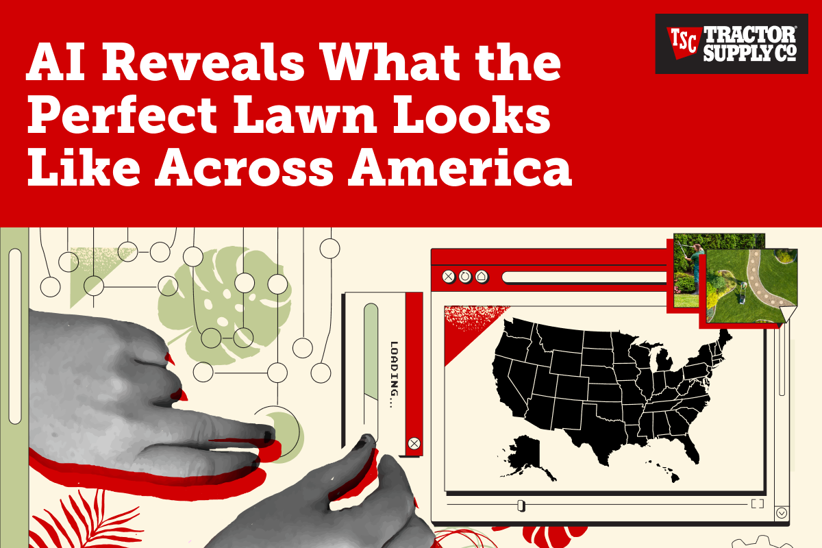 AI Reveals the Perfect Lawn in Every State