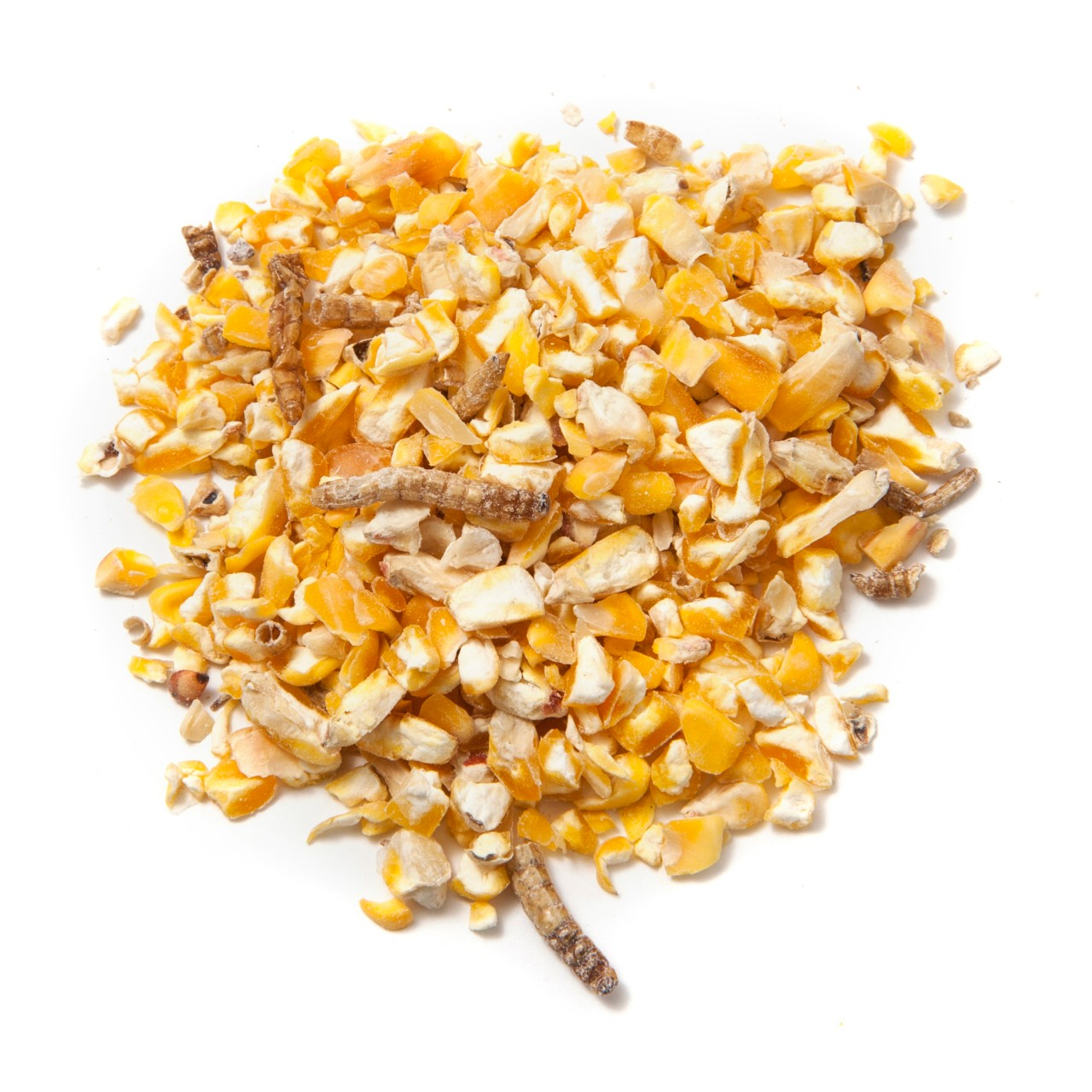 Image of a pile of corn and mealworms bird food.