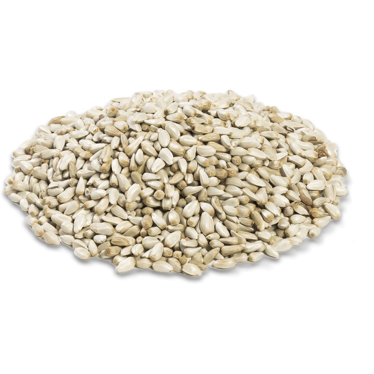 Image of a pile of safflower bird seed.