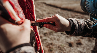How to Field Dress a Deer: Step-By-Step Guide for New and Seasoned Hunters  | Tractor Supply Co.