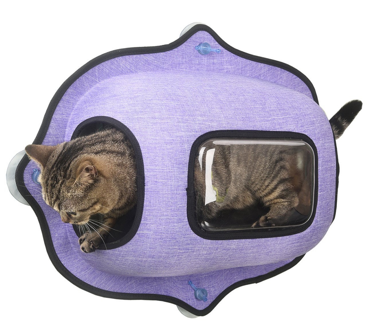 Links to cat hammock and window beds