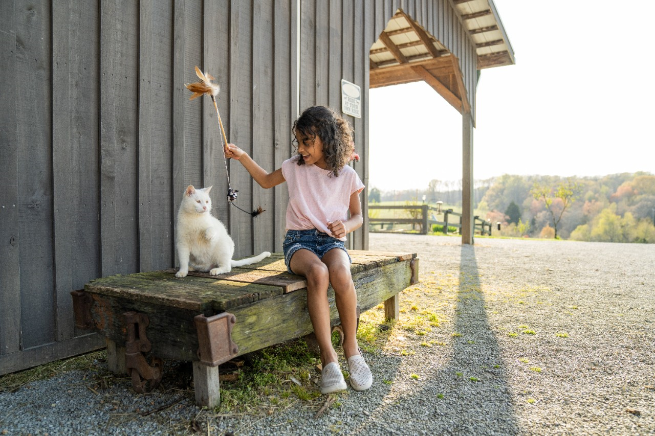 Image of a child playing with a cat outside.