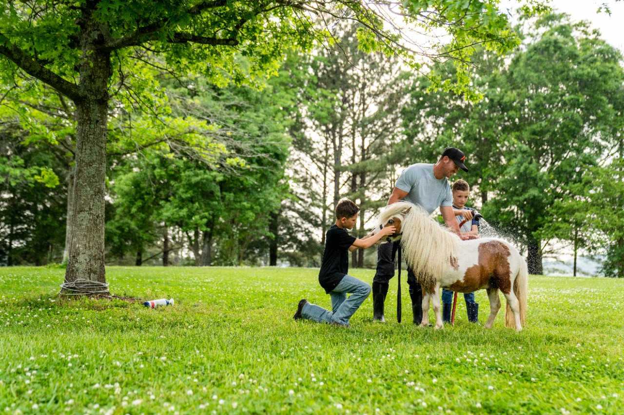 Image of a man and two kids washing a mini horse.