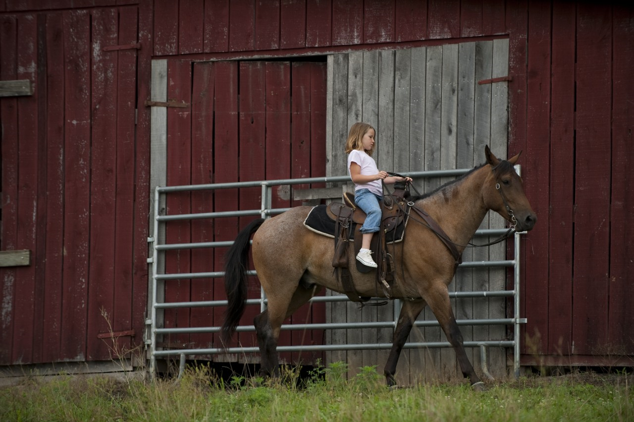 Image of a young child riding a saddled horse.