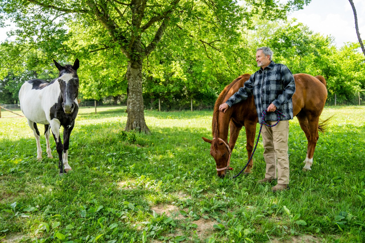Image of a person with two horses in a large yard.