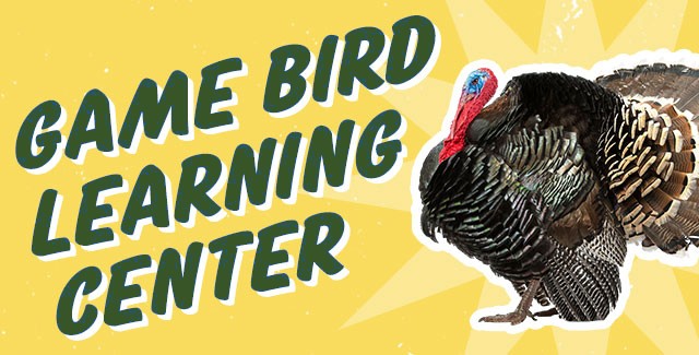 Game Bird Learning Center