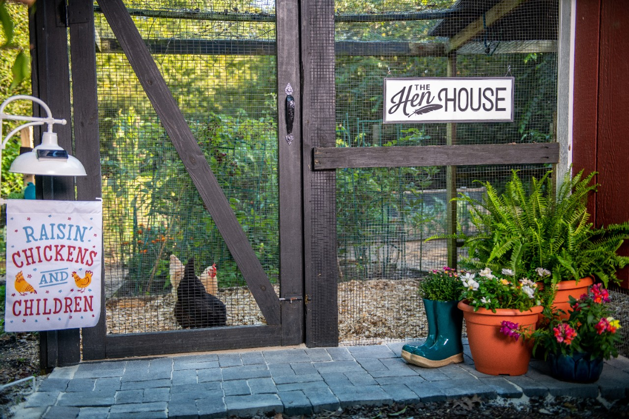 Iamge of a chicken pen with raised garden inside.