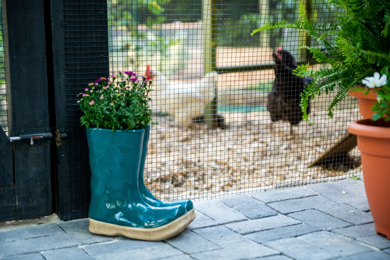 Image of a planter with flowers in front of a chicken pen.