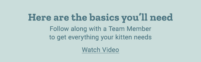 Kitten Must Haves at Tractor Supply video