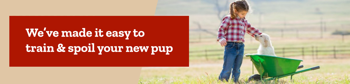 We've made it easy to train and spoil your new pup