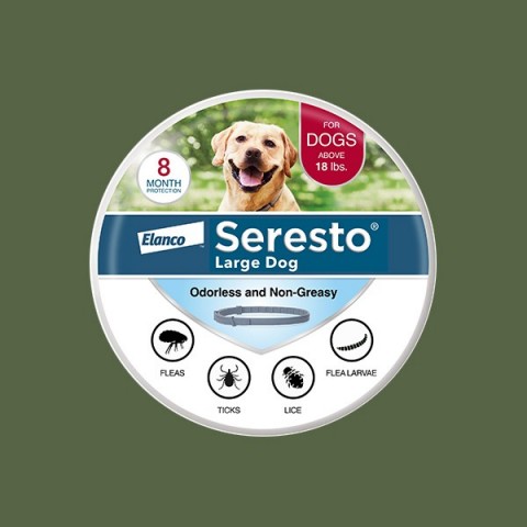 Flea & Tick Control for Dogs