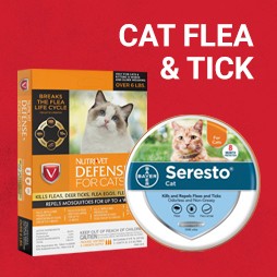 Cat Flea and Ticks