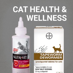 Cat Health and Wellness.