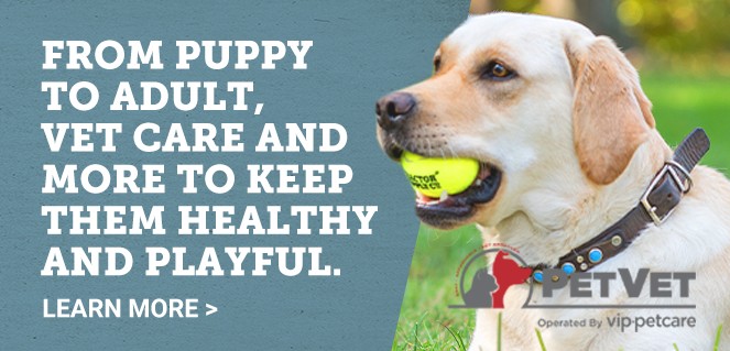 From puppy to adult, vet care and more to keep them healthy and playful. Learn more. PetVet.