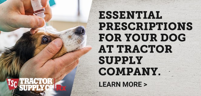 Essential Prescriptions for your dog at Tractor Supply Company. Learn More.