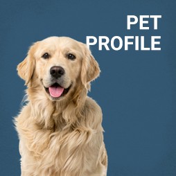 Pet Profile