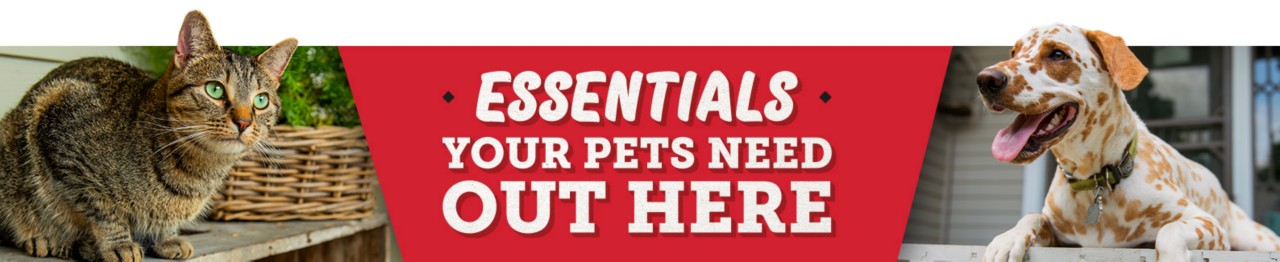 Everything You Need to Welcome Your Puppy to Life Out Here.