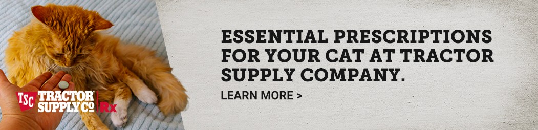 Essential Prescriptions for Your Cat and Tractor Supply Company. Learn More.