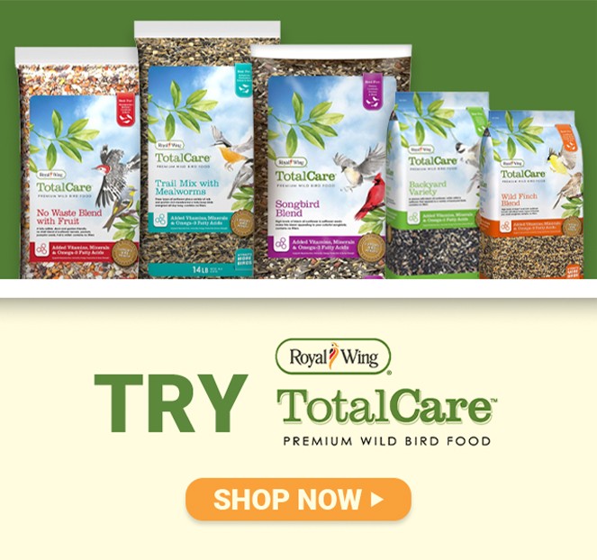 Royal Wing. Try TotalCare Premium Wild Bird Food. Shop Now.