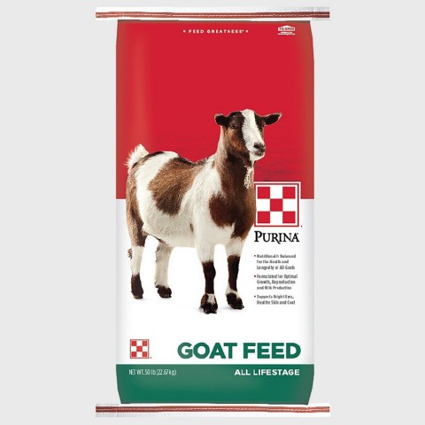 Goat & Sheep Feed