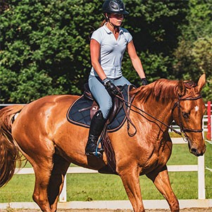 Show Sprays & Polishes