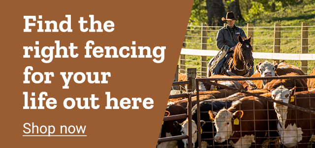 Find the right fencing for your life out here