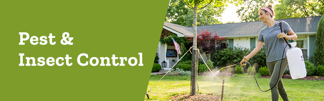 Pest Insect Control