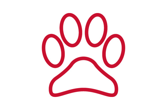 Image of paw print that links to all Pet catalog.