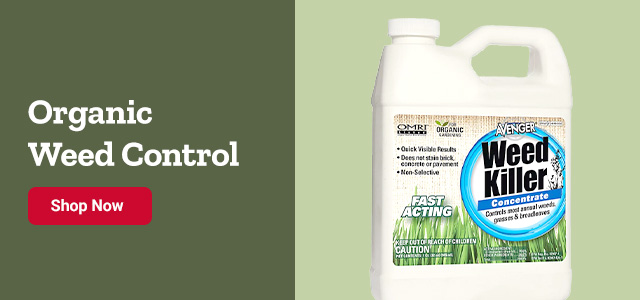 Organic Weed Control. Shop Now.