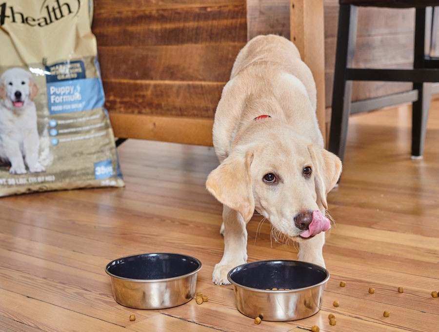 Pet Diet Health Pet Food & Treats Tractor Supply Co.